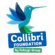 COLLIBRI FOUNDATION FOR EDUCATION